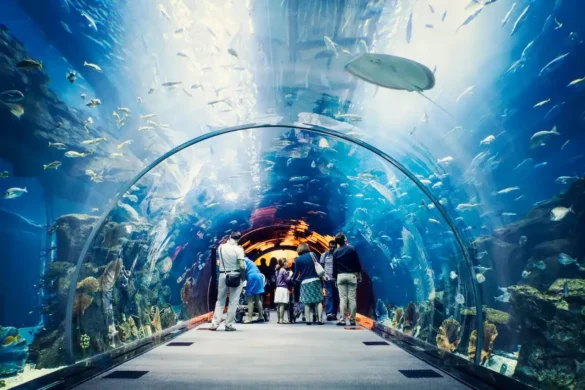 Dubai Mall Underwater Aquarium